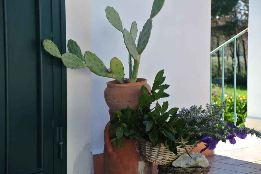 Il Giardino Del Te Hotel บาร์เลตตา ห้อง รูปภาพ