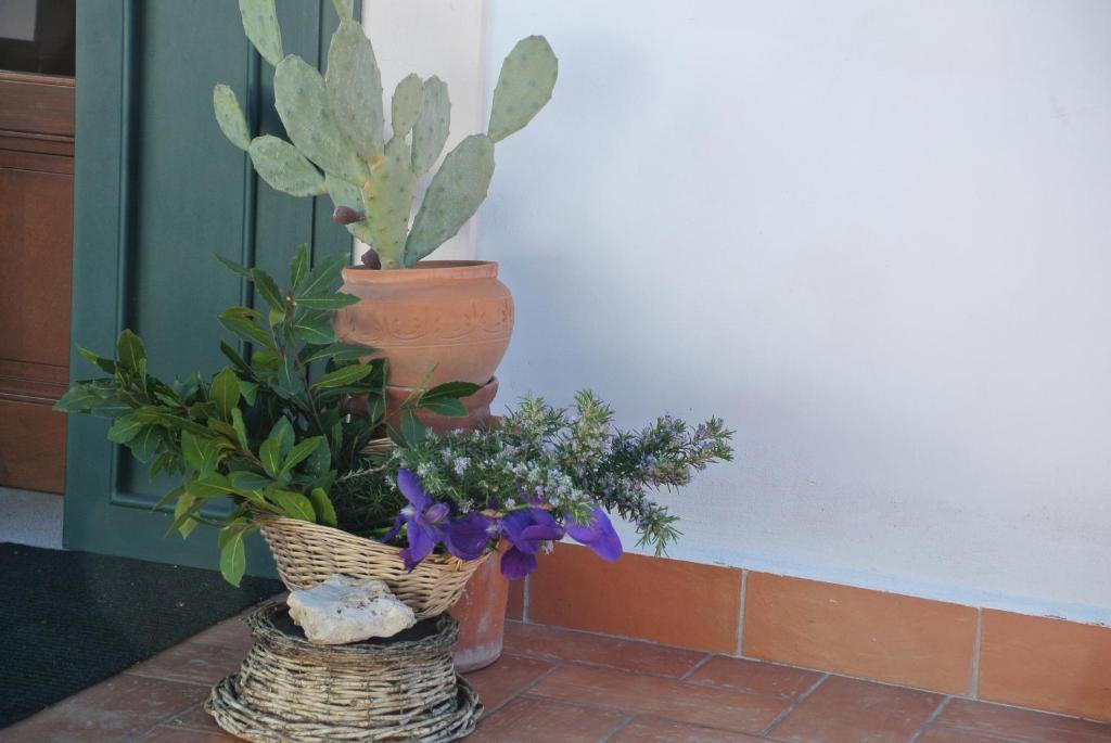 Il Giardino Del Te Hotel บาร์เลตตา ภายนอก รูปภาพ